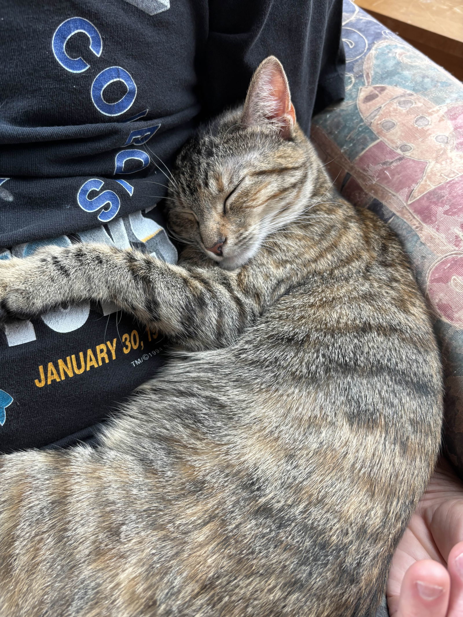 Cleo