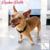Sophie Belle photo 6
