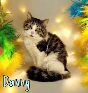 Danny 124614
