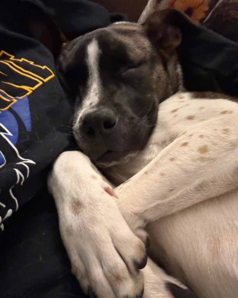 Delilah