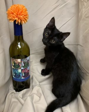 Merlot