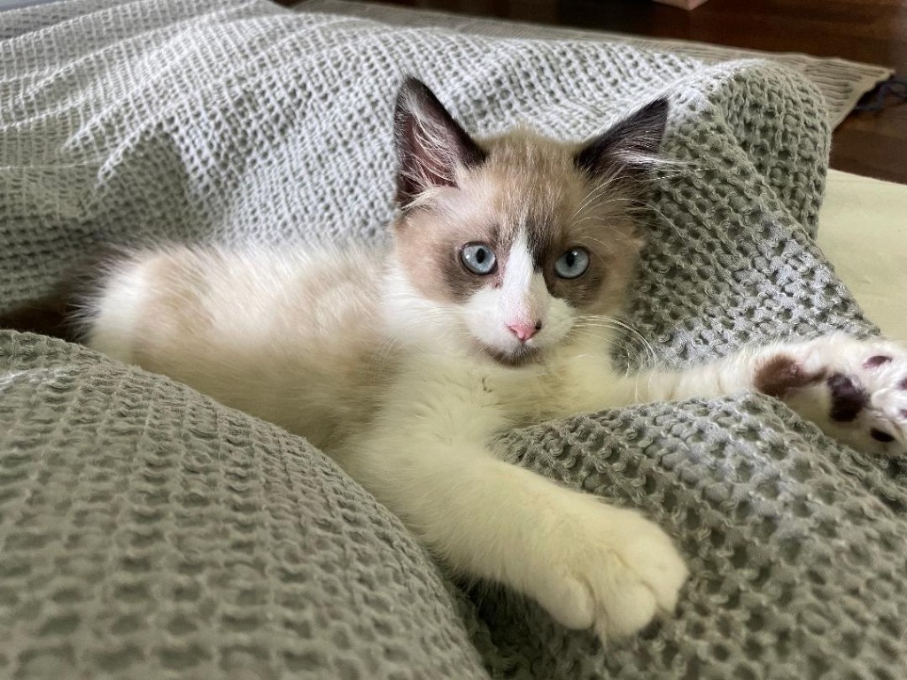 Maggie