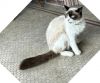 Maggie photo 4