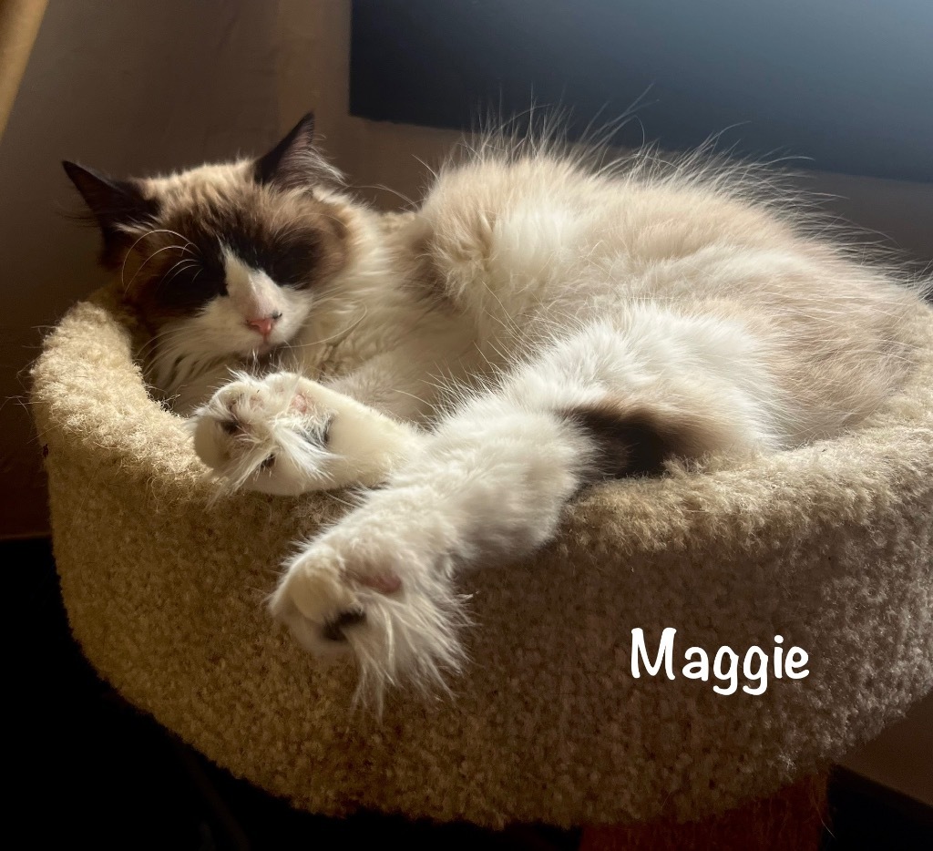 Maggie