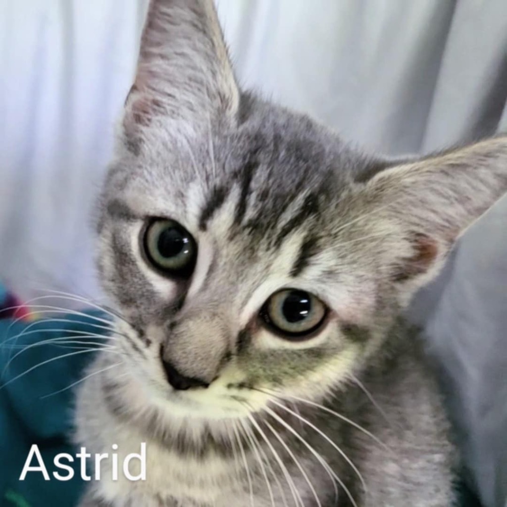 Astrid