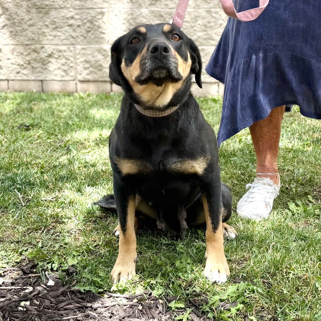 ZaLa