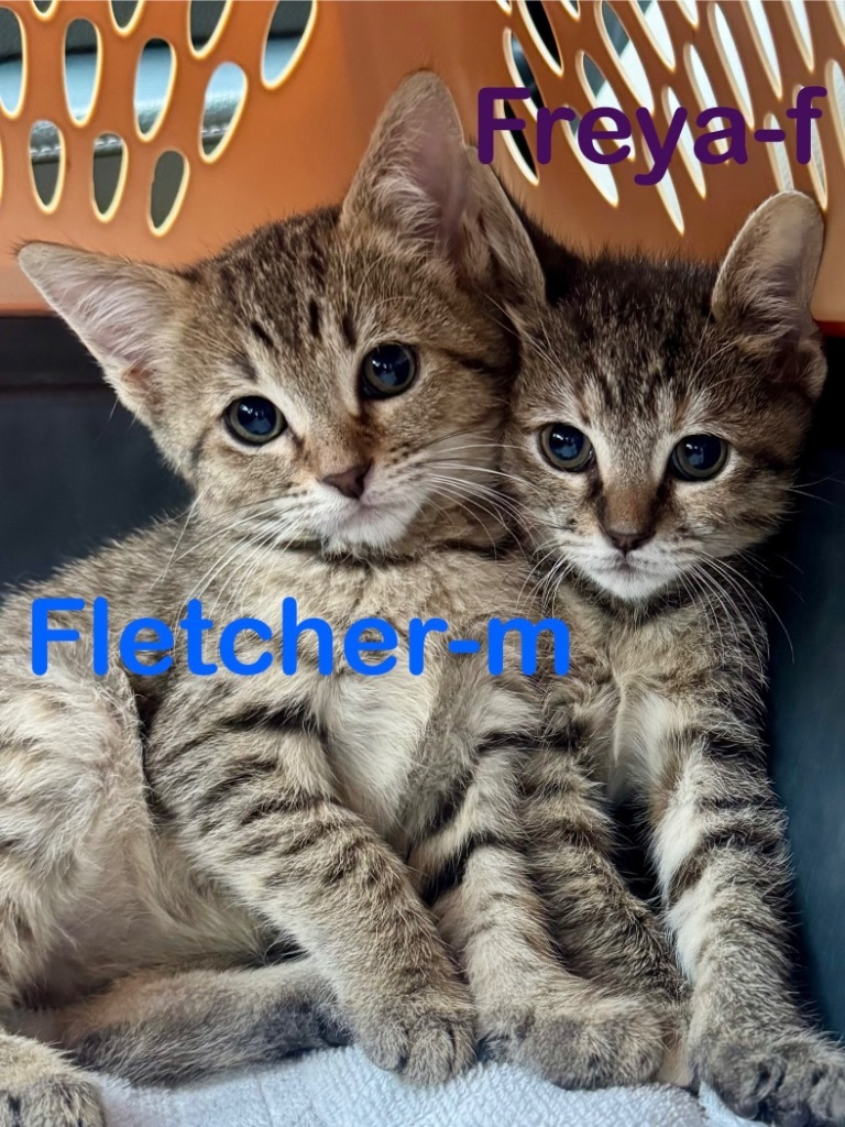 Fletcher 25