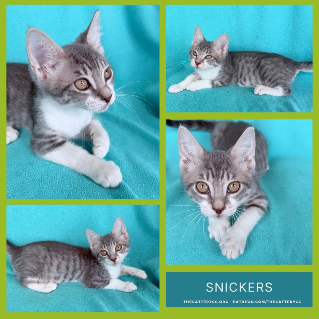 Snickers