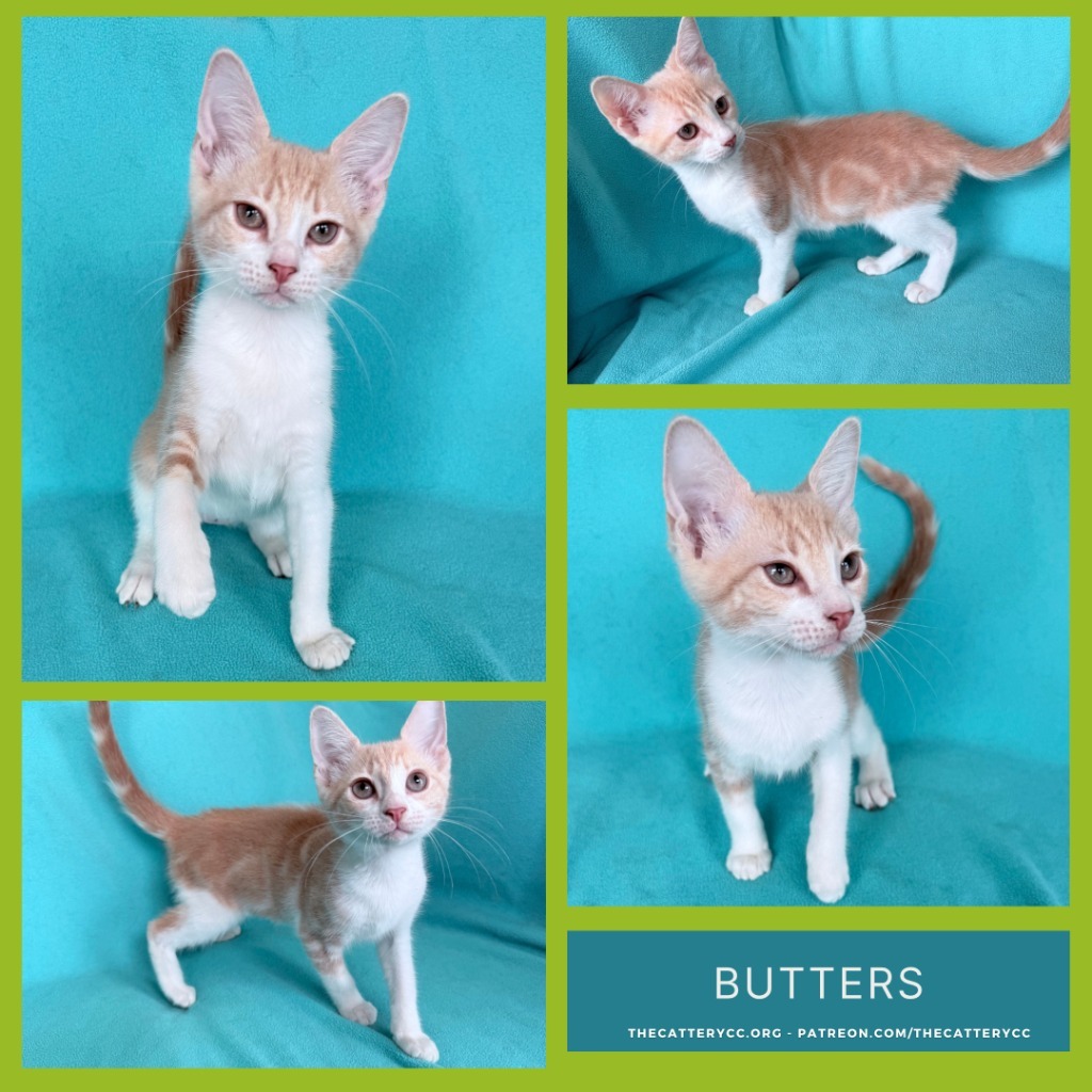 Butters