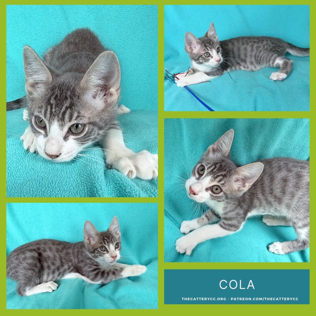 Cola