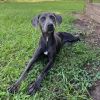 Plata photo 5