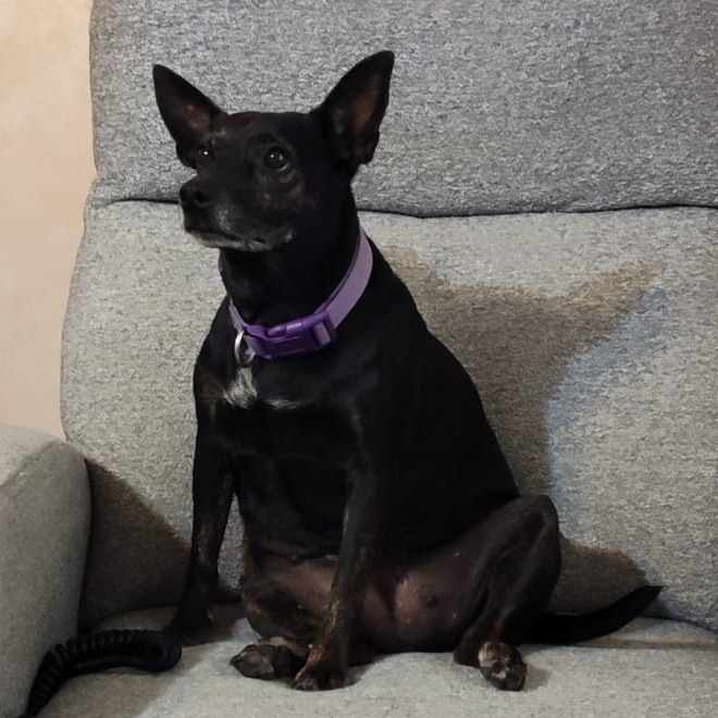 Missy