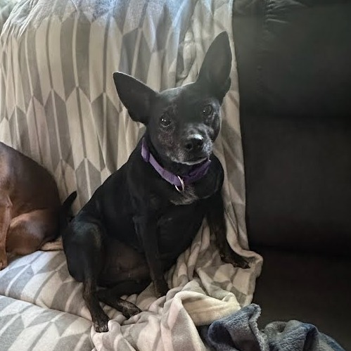 Missy