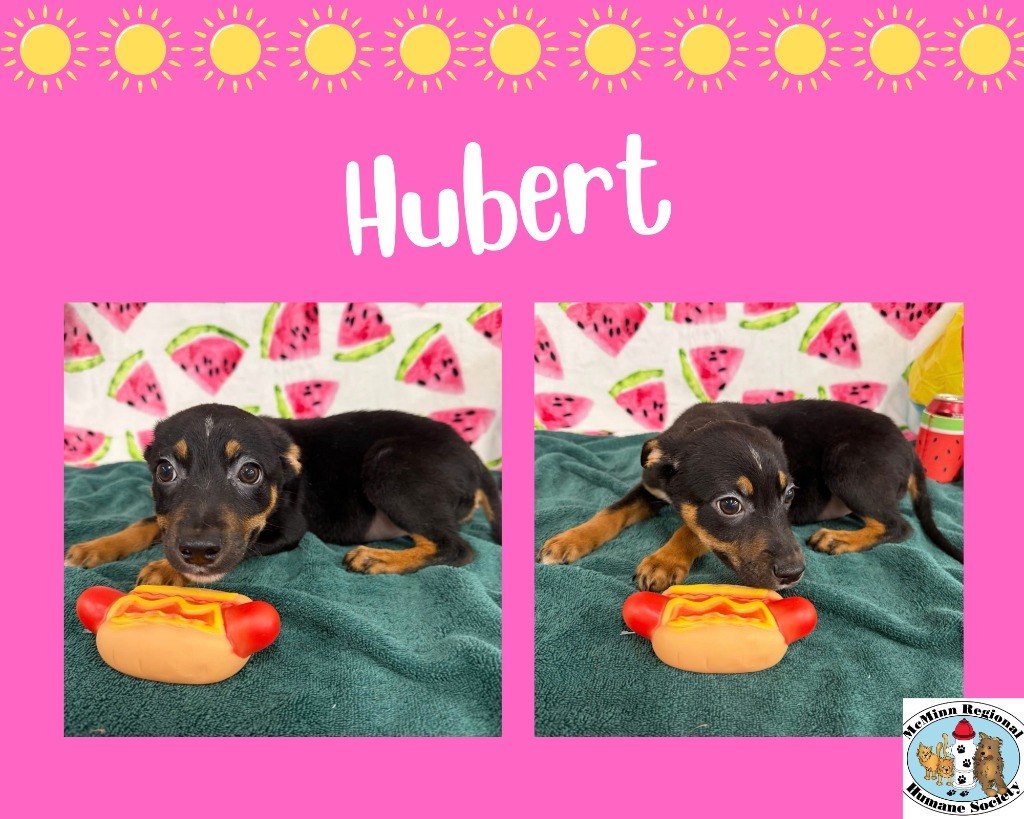 Hubert