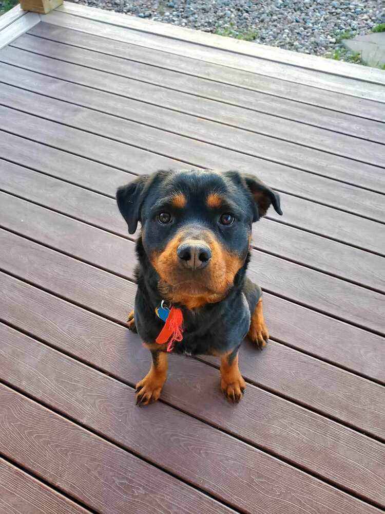 Pebbles