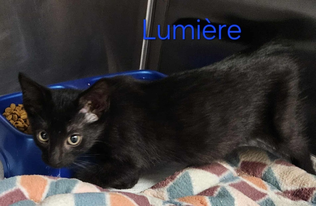 Lumire