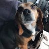 Babbs (babsi) photo 1
