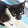 Martha photo 2
