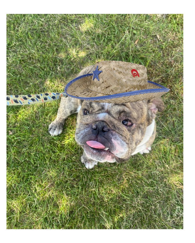 Wrigley James