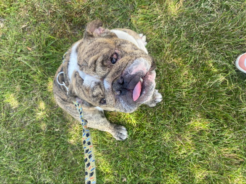 Wrigley James