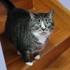 Lucy photo 1