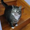 Lucy photo 2