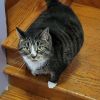 Lucy photo 3