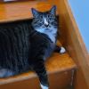 Lucy photo 4