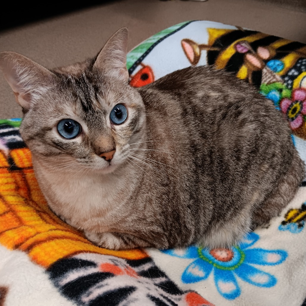 Madeleine