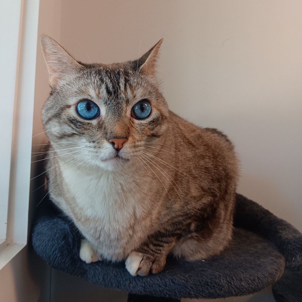 Madeleine
