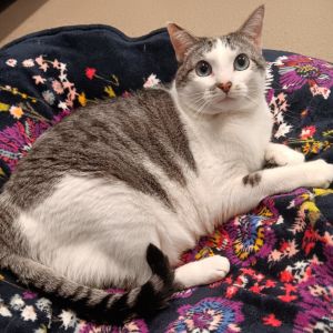 Charlotte, Senior Female unknown