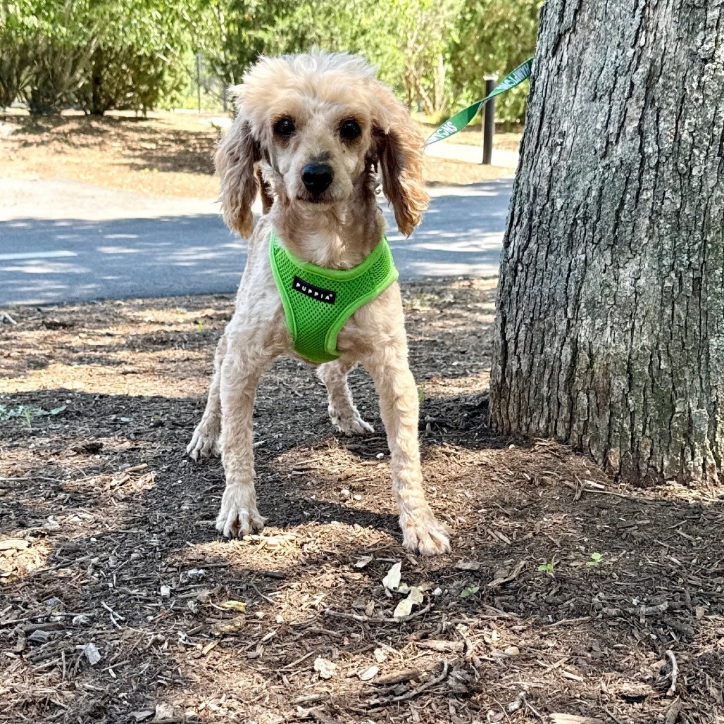 Rusty