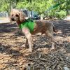 Rusty photo 2