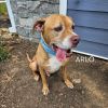 Arlo SCP photo 3