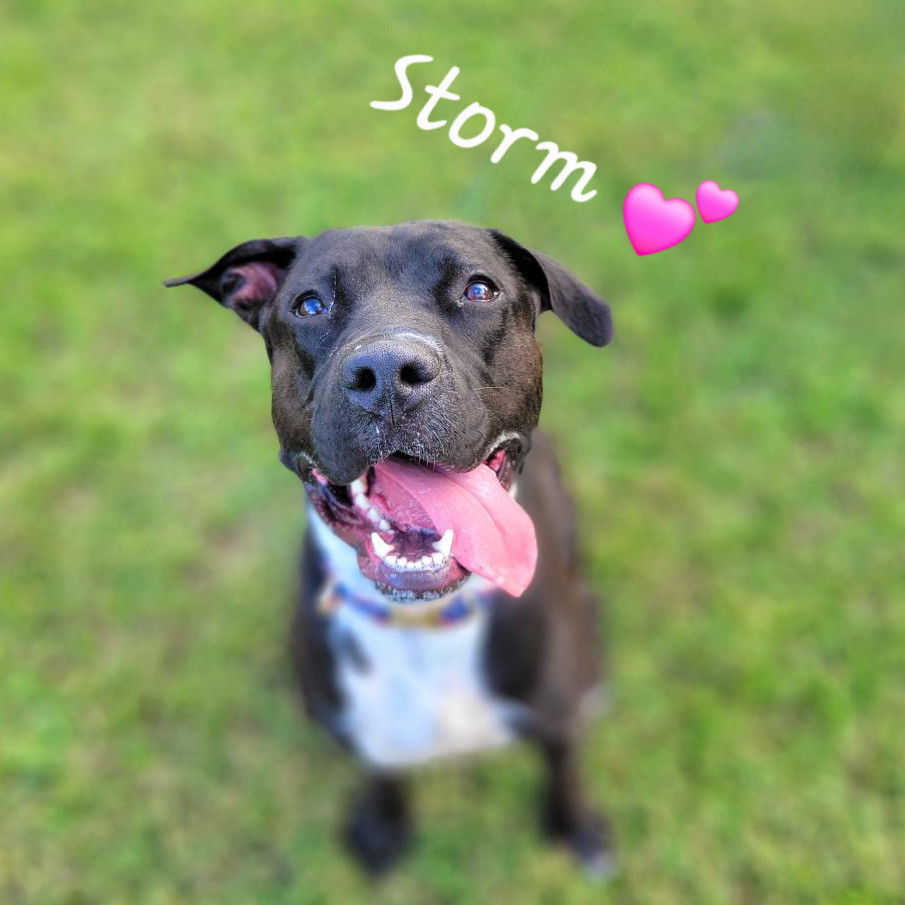 Storm