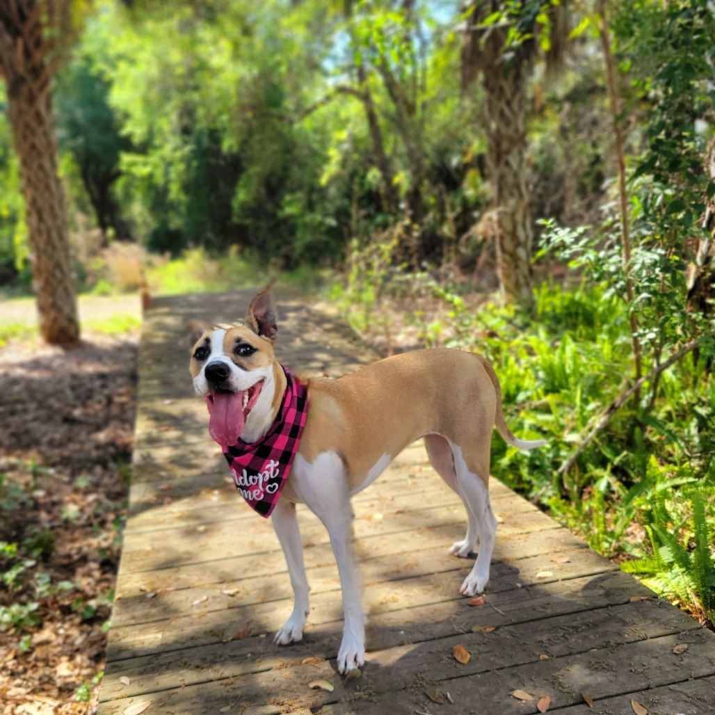 Fiona