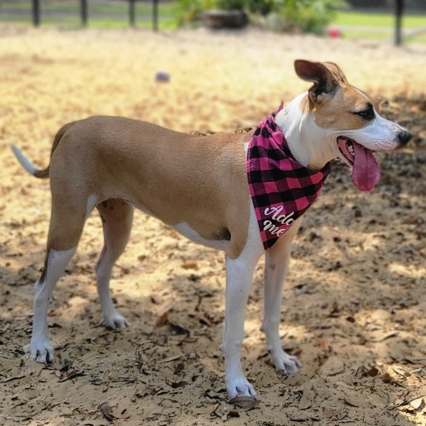 Fiona