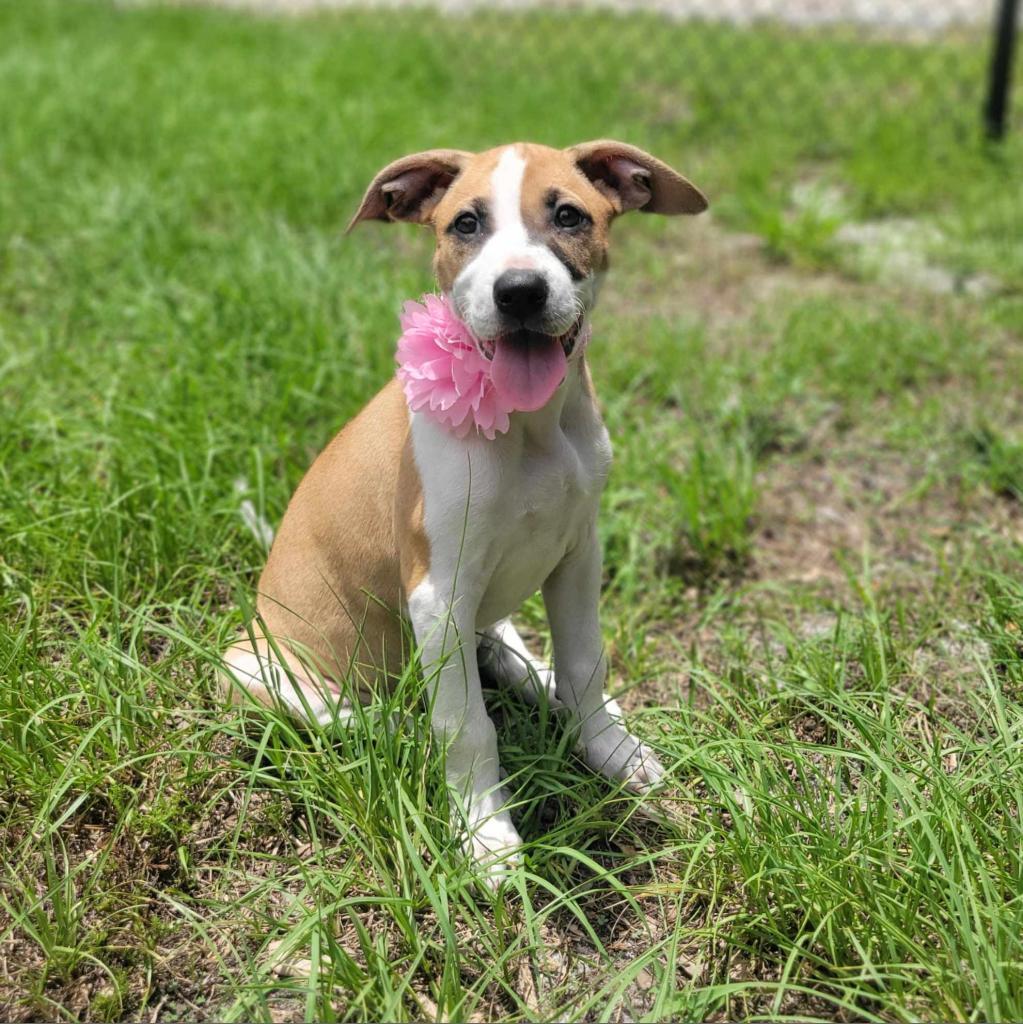 Fiona