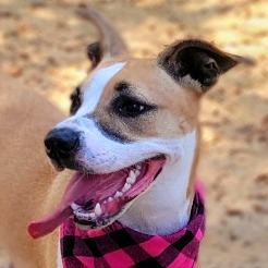 Fiona