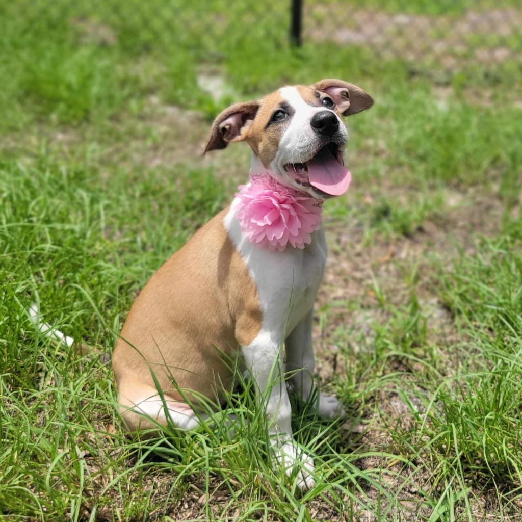 Fiona