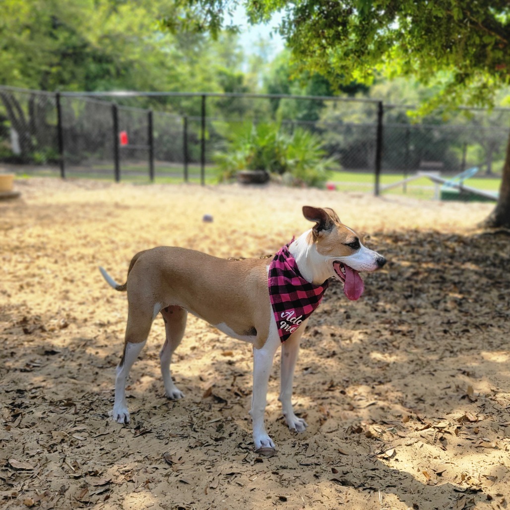 Fiona