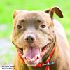 Sampson photo 3