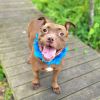 Sampson photo 5