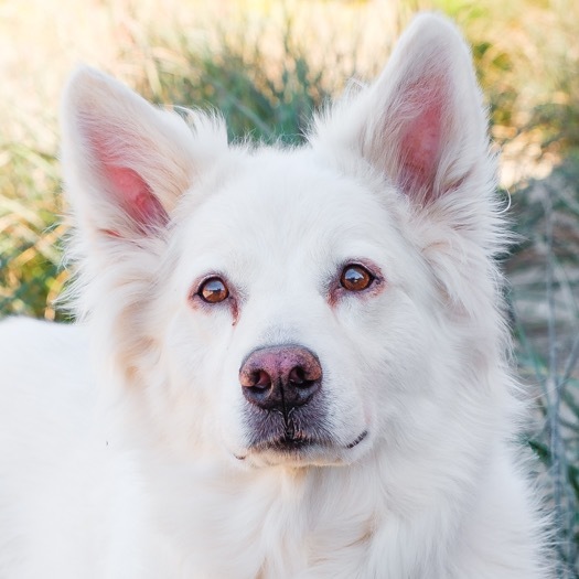 Luna Girl