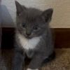 Smokey photo 1
