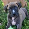 Omar photo 3
