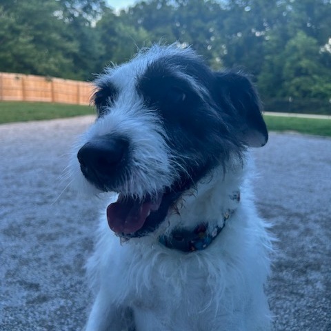 Millie