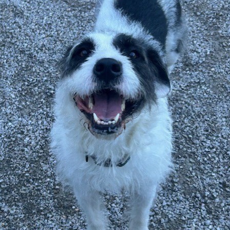 Millie