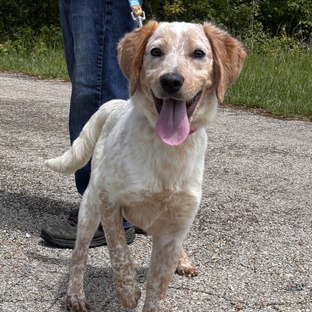 Tucker