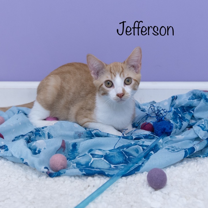 Jefferson